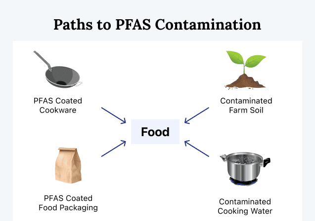 PFAS in Baby Food Packaging